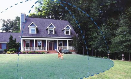 diy underground dog fence