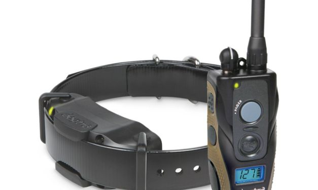 Using The Vibration & Tone Dog Shock Collar Feature