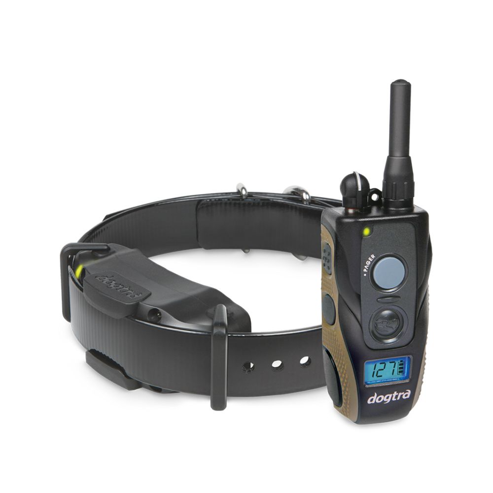 training dog with vibration collar