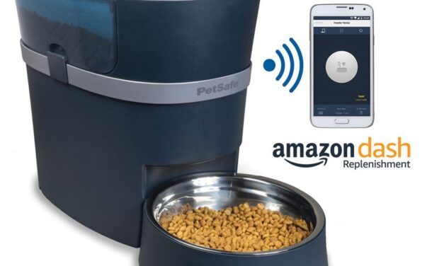 Dog Food Dispenser Buying Guide: 9 Essential Things to Consider