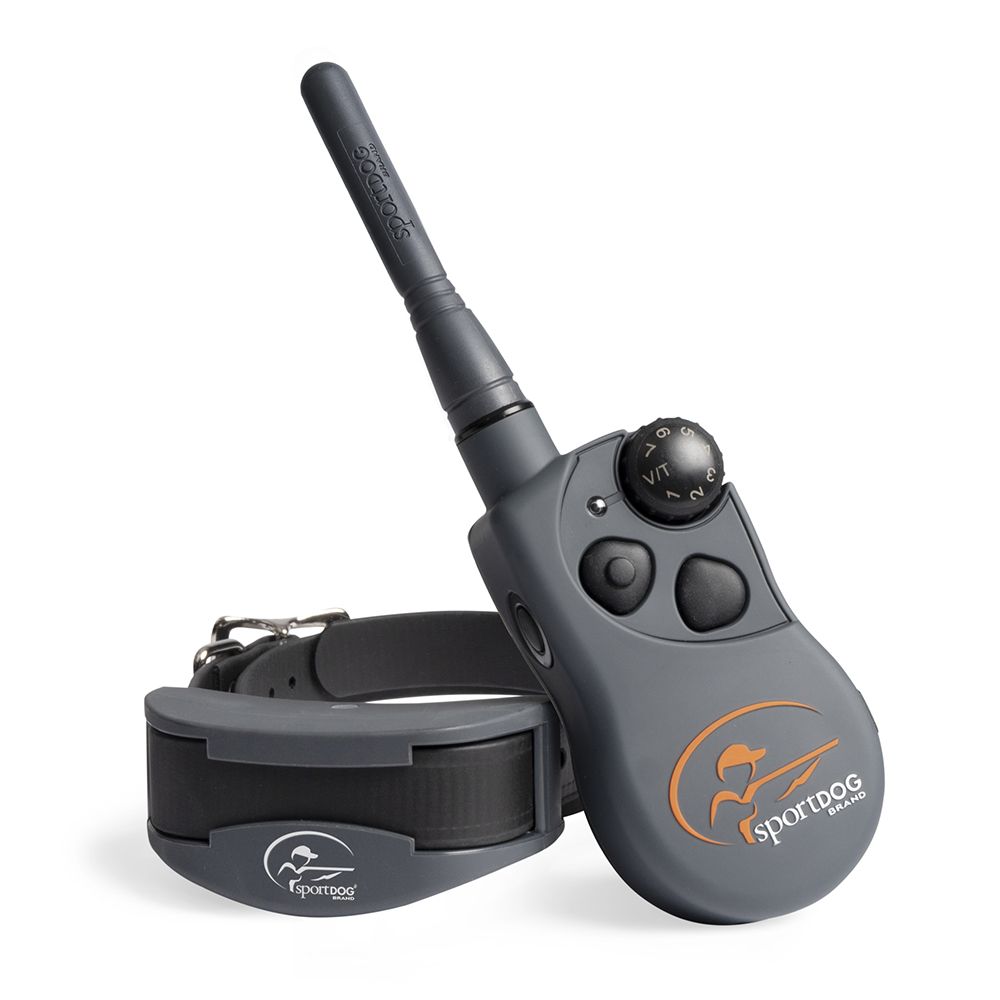 Remote dog collar outlet