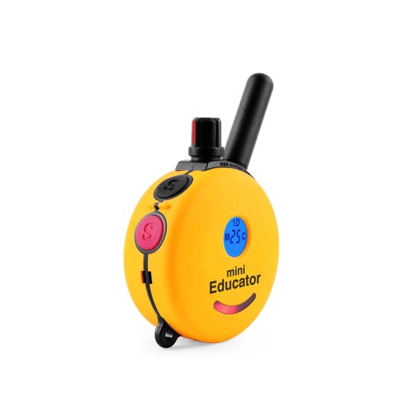 mini educator
