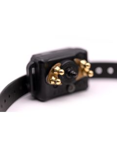 Bp 504 barkless pro clearance
