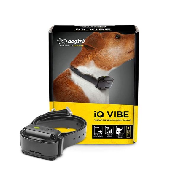 iq pet shock collar