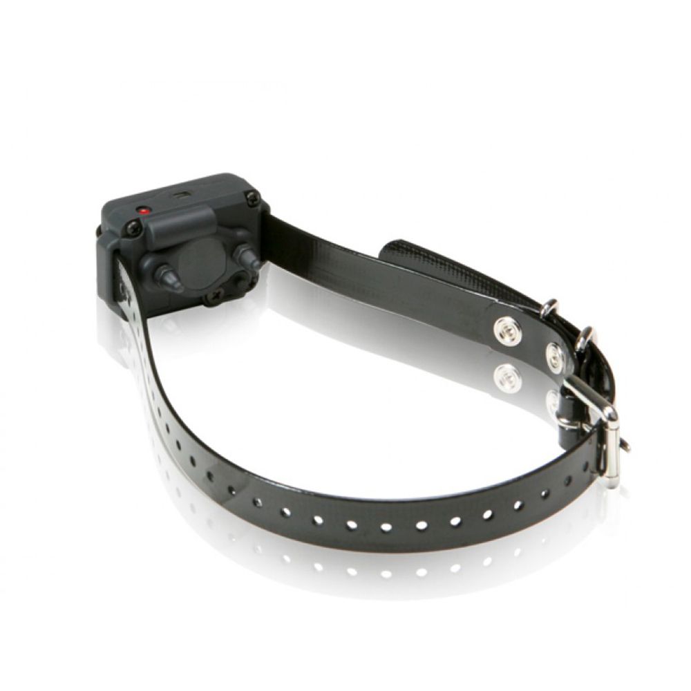 エンダースキーマ dog collar S DUMMY-COLLAR.jpg エンダースキーマ dog collar S DUMMY-COLLAR.jpg