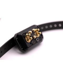 E-Collar Technologies CPAD RX-070 Receiver