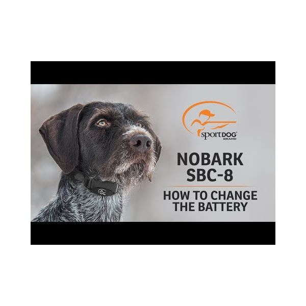 Sportdog dog bark collar clearance