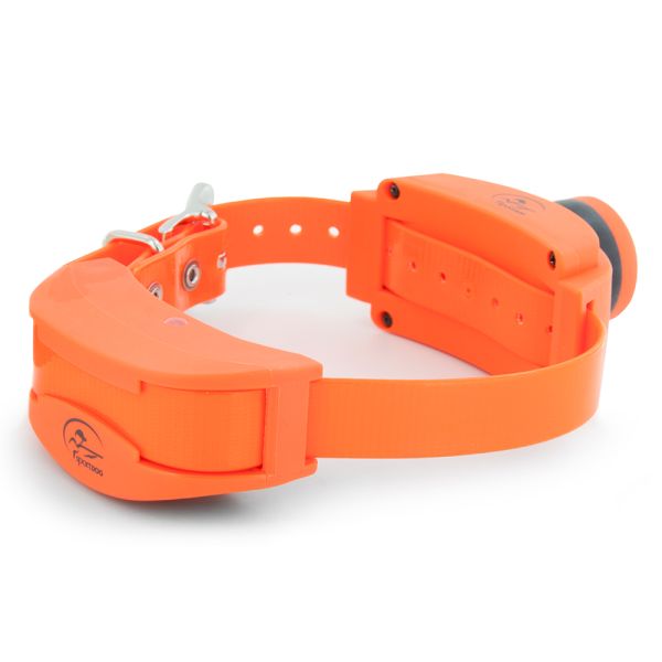 SportDOG UplandHunter 1875 pavimenti dog