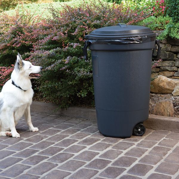 Pawz away outdoor pet barrier hotsell
