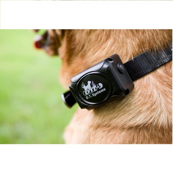 DT Systems SPT 2420 Remote Dog Training Collar